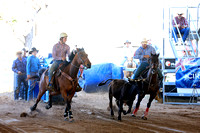 steer wrestling