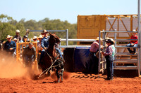 breakaway roping
