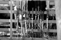 2023 easter rodeo_0026