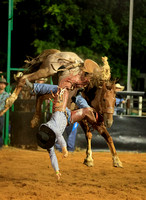 saddle bronc &bareback