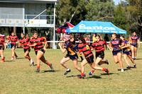 Qld Rugby Santos Western 7's Saturday only July 23