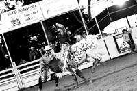 Jr APRA finals rd 2 steer riding_015