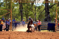 alpha rodeo_00706