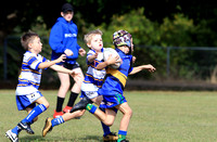 u7 bro white v gemfields 2018010