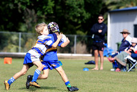 u7 bro white v gemfields 2018016