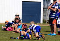 u7 bro white v gemfields 2018003