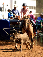 Breakaway roping