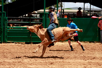 steer ride