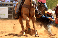 steer wrestling