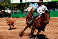 team roping