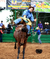 Bareback & Saddlebronc