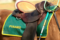 EMLD POLOCROSSE SAT_00154