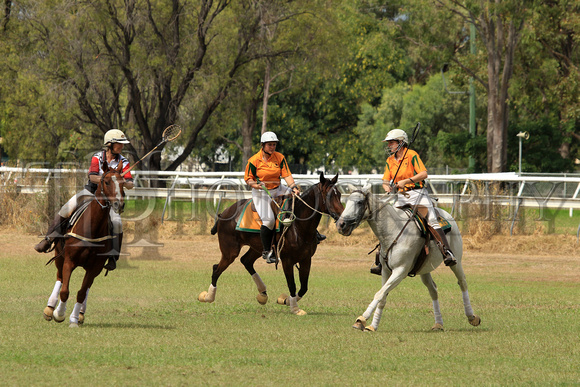 EMLD POLOCROSSE SAT_01057