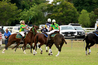 EMLD POLOCROSSE SAT_01170