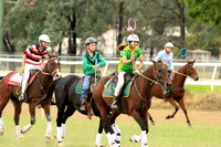 EMLD POLOCROSSE SAT_01216
