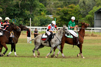 EMLD POLOCROSSE SAT_01560
