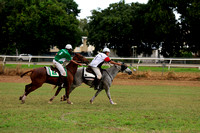 EMLD POLOCROSSE SAT_01571