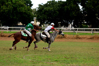 EMLD POLOCROSSE SAT_01572