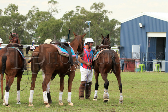 EMLD POLOCROSSE SAT_01603