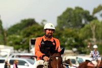 EMLD POLOCROSSE SAT_01962