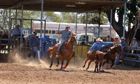 steer wrestling