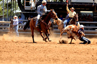 Steer wrestling