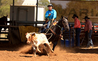 novice breakaway roping